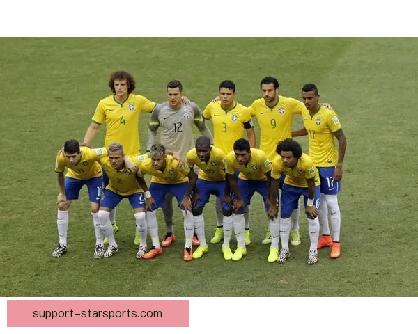 世界杯历史数据揭秘各国球队表现与进球趋势分析